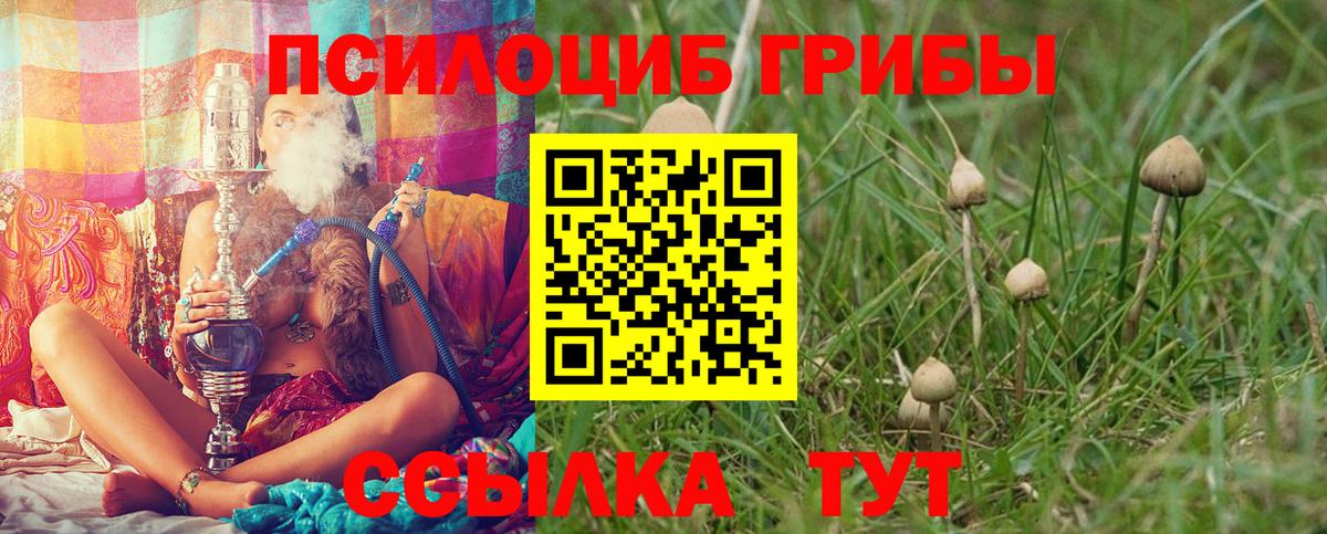Псилоцибиновые грибы ЛСД Дедовск